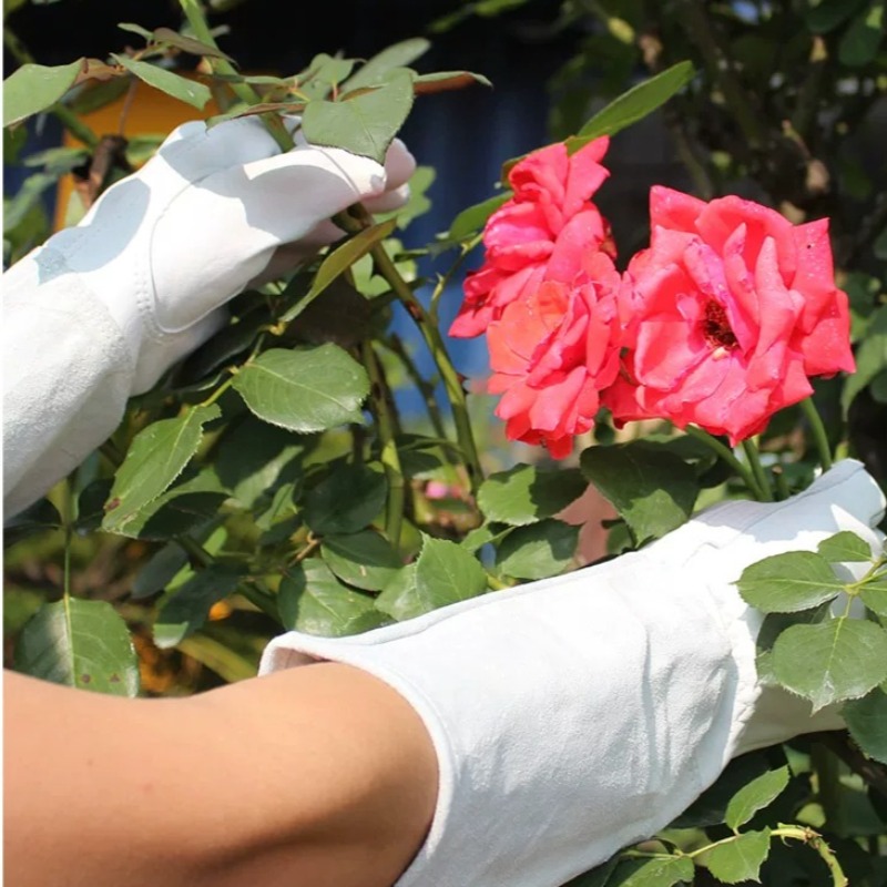 Para rękawic ogrodowych odporn – Gardening Tools Gloves recenzja i cena