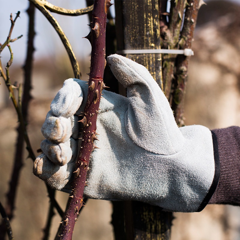 Para rękawic ogrodowych odporn – Gardening Tools Gloves recenzja i cena