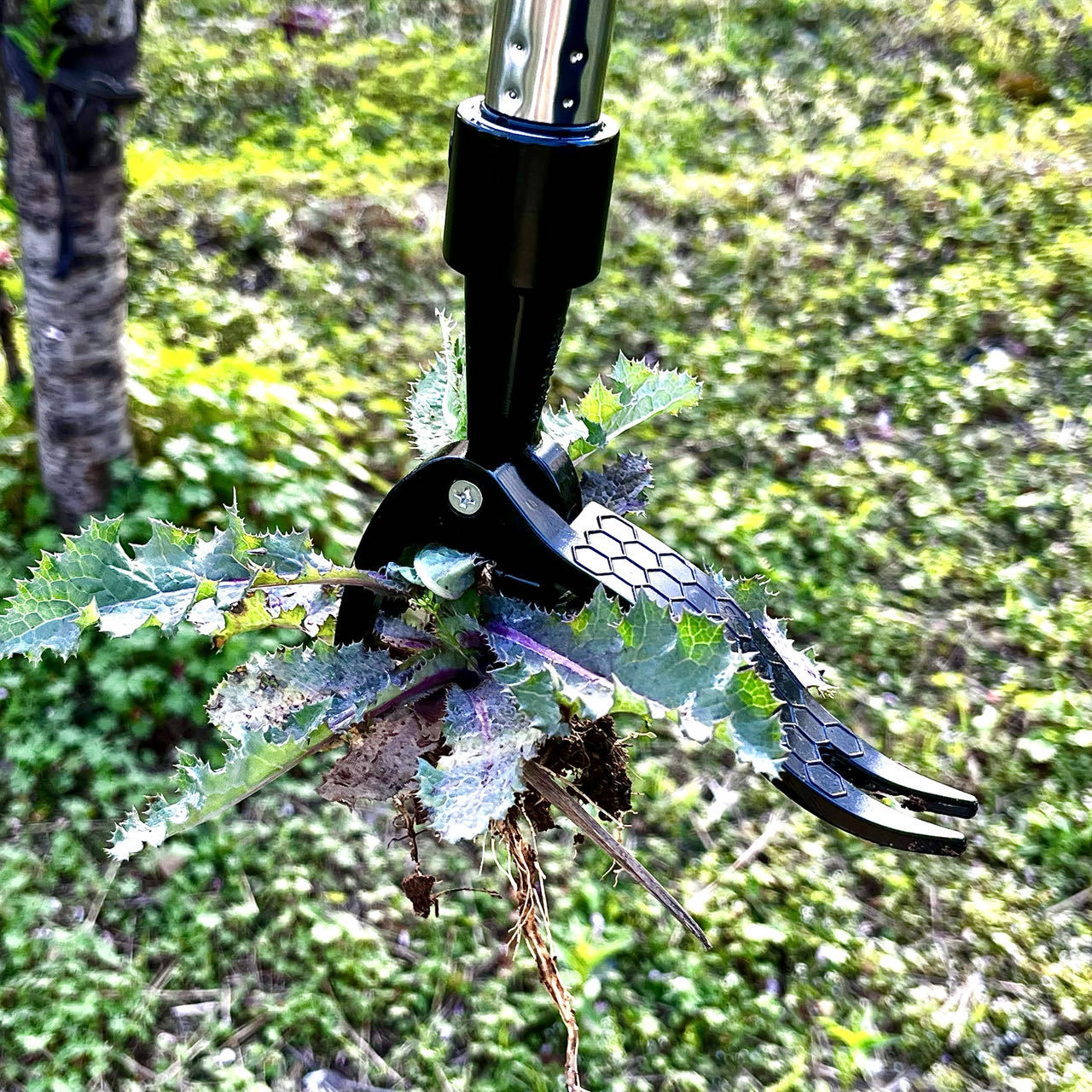 Oszczędność pracy Ręczny metal – Gardening Tools You Need recenzja i cena
