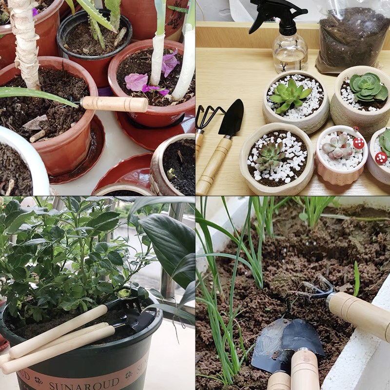 3 szt./1 zestaw Mini narzędzia – Gardening Tools Gifts recenzja i cena